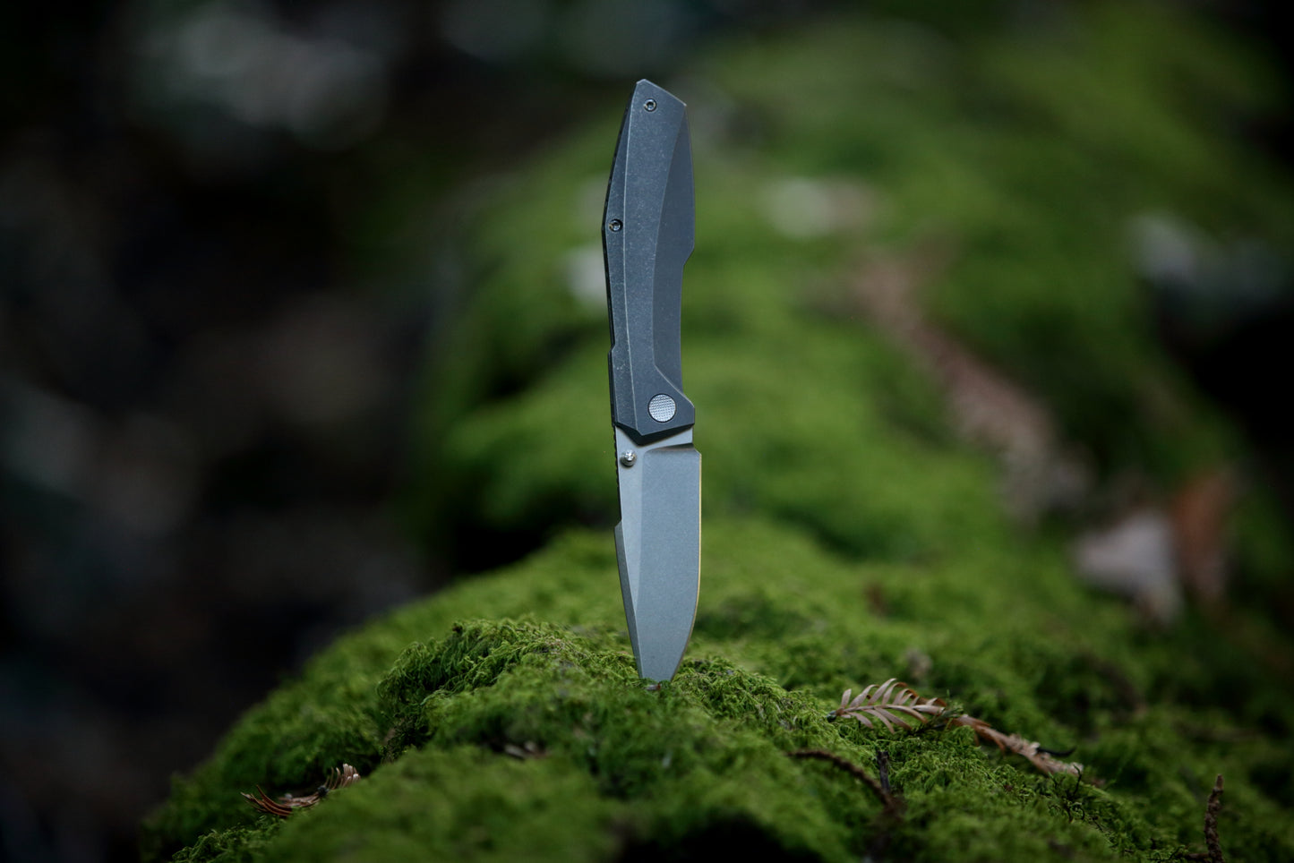 Raiden - Stonewashed/Staticwashed